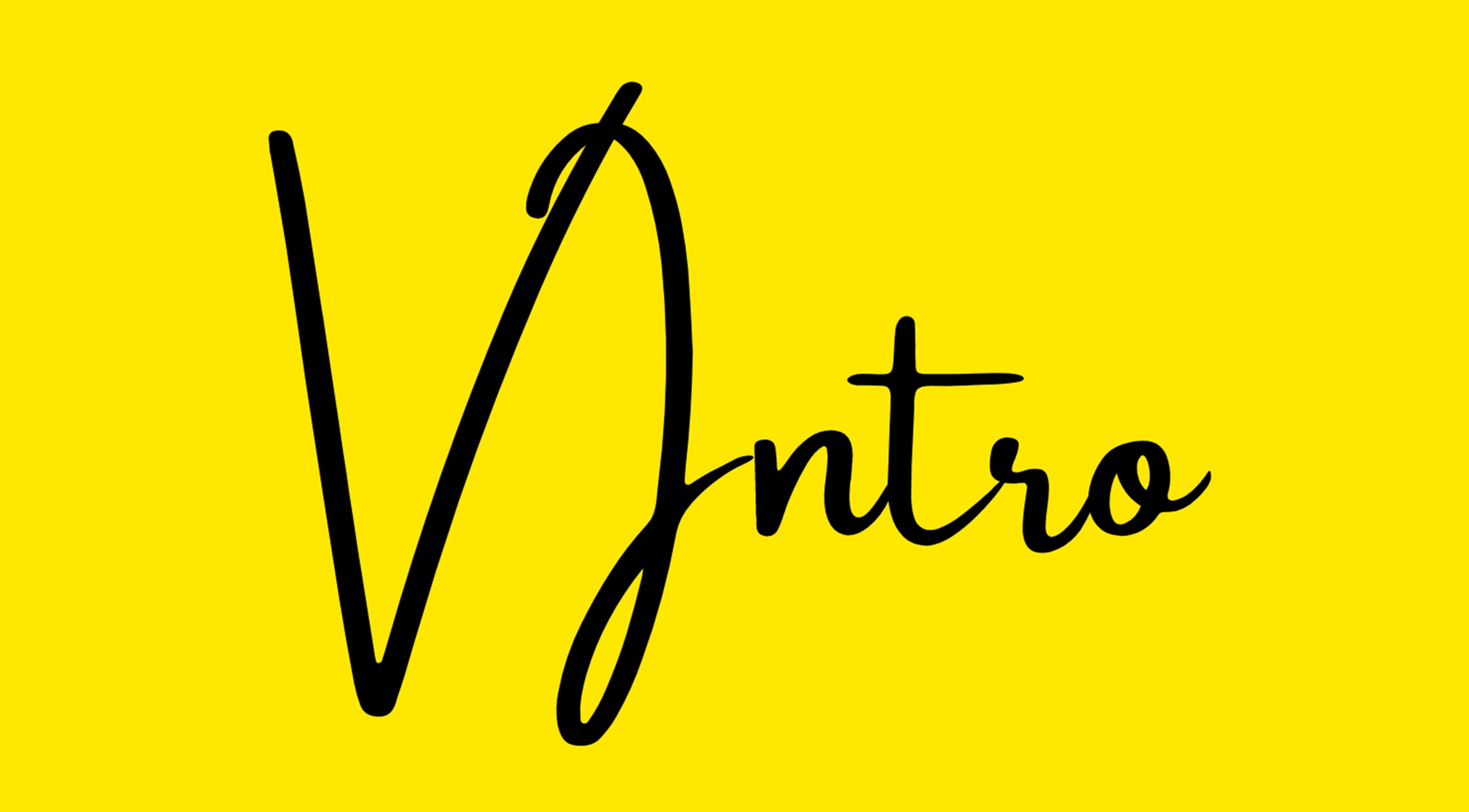 VIntro Interviews mit Förderpartnern Die Vertriebsmanager